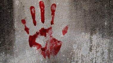 Chhatrapati Sambhajinagar Shocker: वैजापूर तालुक्यात आश्रमात घुसून महिला कीर्तनकाराची दगडाने ठेचून हत्या; गुन्हा दाखल