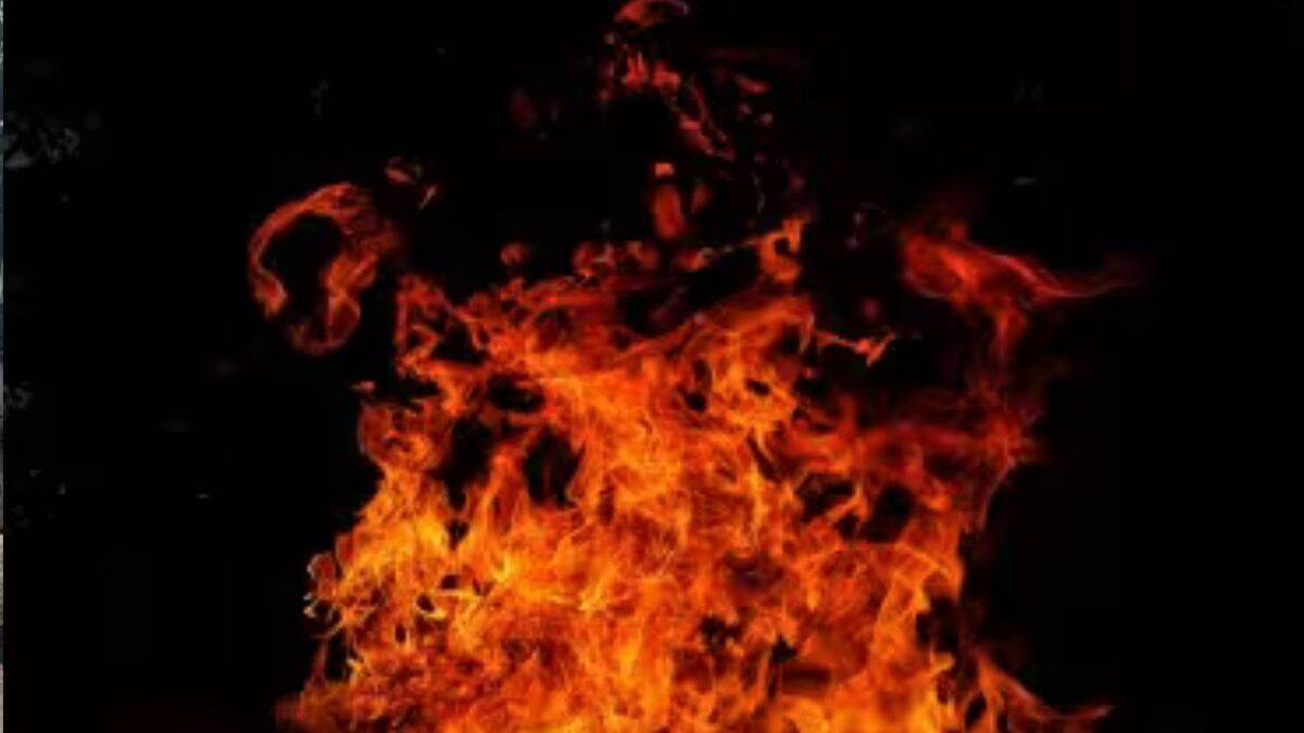 Mira Road Fire: मीरा रोड मध्ये बेकायदेशीर झोपड्यांमध्ये भडकली आग (Watch Video)