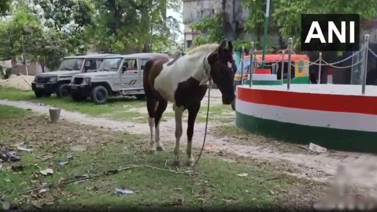 Liquor Smuggling in Bihar: दारु तस्करीचा आरोप, घोड्यास नजरकैद; मालक फरार